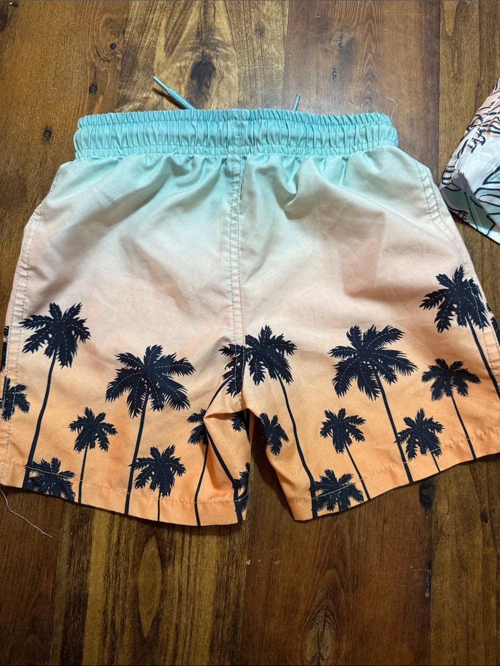Lot of 2 - Boys Tropical Floral Swim Shorts - Peach & Mint
